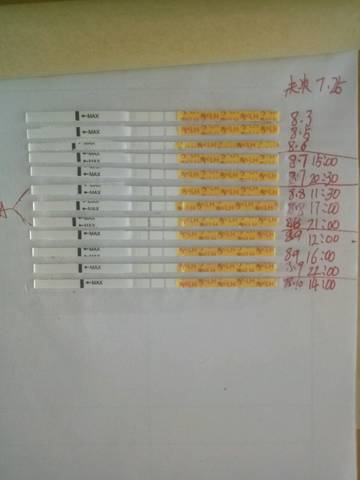 journal_insert_pic_1071345028