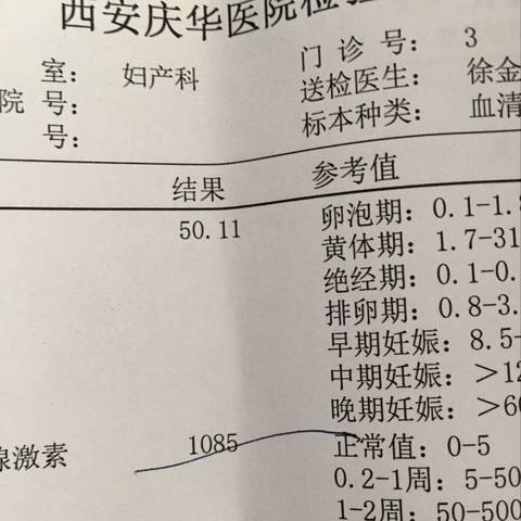 journal_insert_pic_1071460174