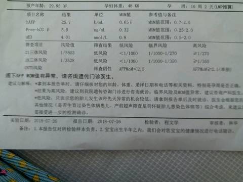 journal_insert_pic_1071880147