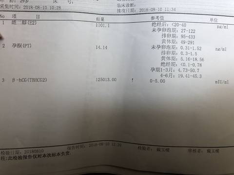 journal_insert_pic_1071853905
