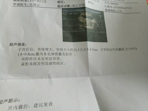 journal_insert_pic_1072439318