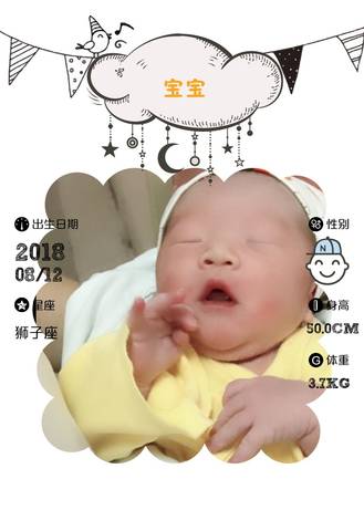 journal_insert_pic_1072414426