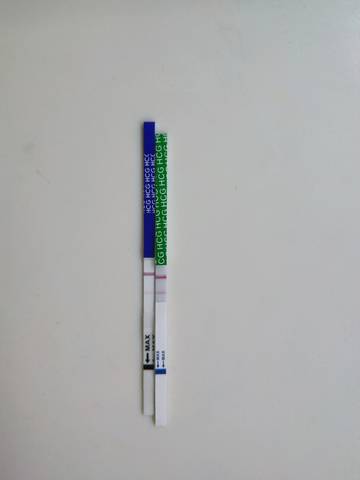 journal_insert_pic_1073436738