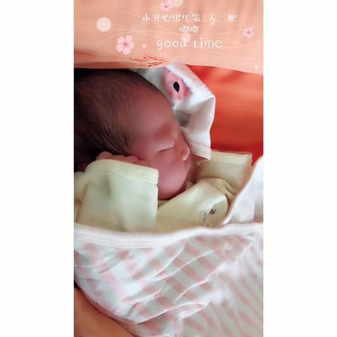 journal_insert_pic_1073077180