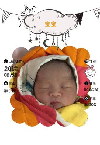 journal_insert_pic_1073445890