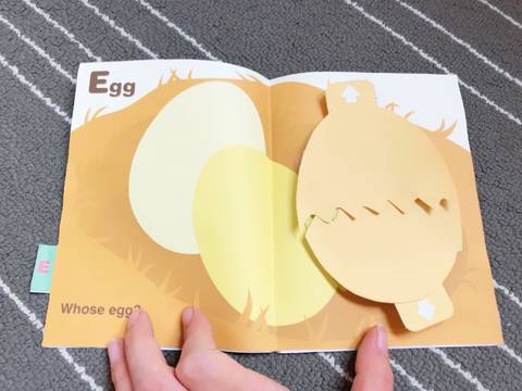 journal_insert_pic_1073274313