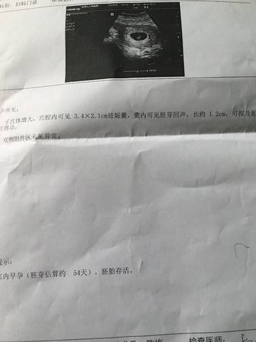 journal_insert_pic_1073445457