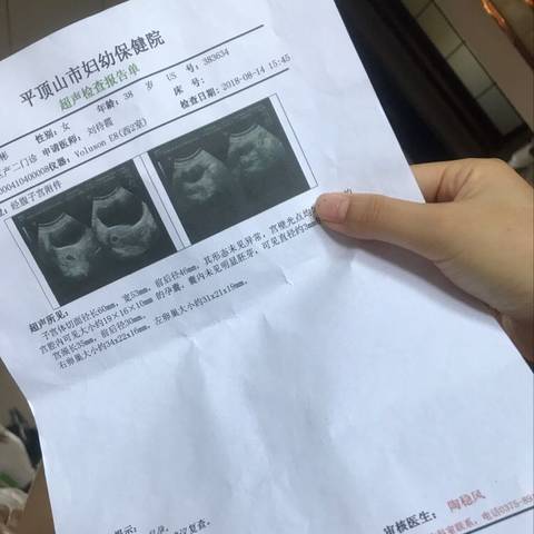 journal_insert_pic_1074039704