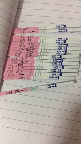 journal_insert_pic_1074126165