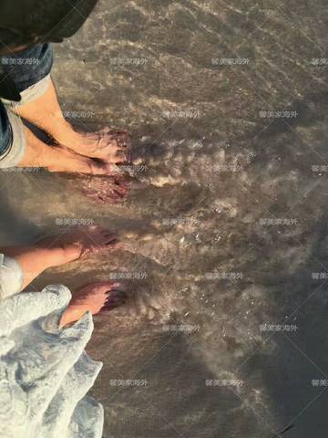 journal_insert_pic_1074588523