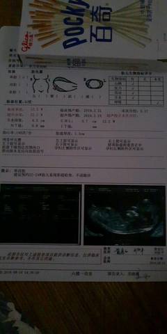 journal_insert_pic_1074471204