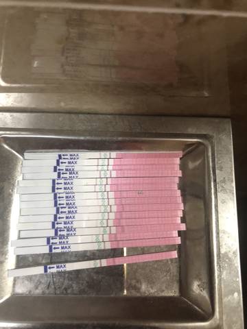 journal_insert_pic_1074869545