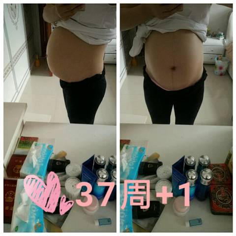 journal_insert_pic_1075835279