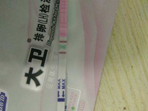 journal_insert_pic_1075864602