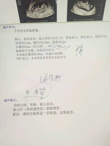 journal_insert_pic_1075647605