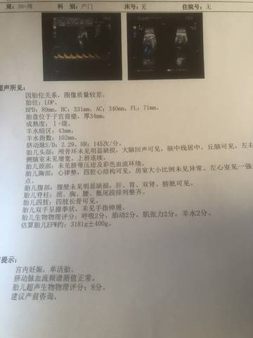 journal_insert_pic_1075783195