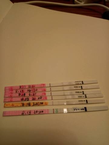 journal_insert_pic_1076504181