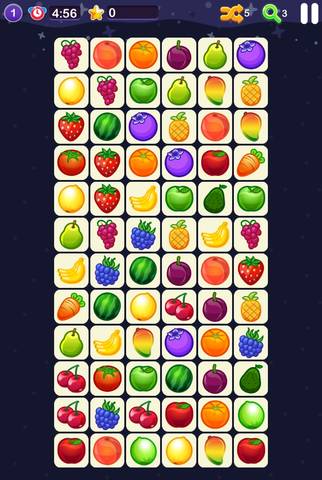 journal_insert_pic_1076159657