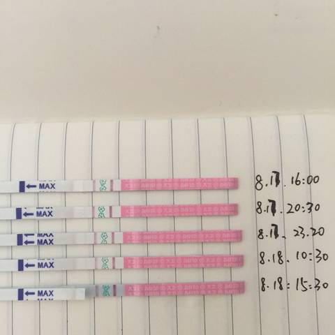 journal_insert_pic_1076355805