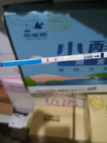 journal_insert_pic_1076673010