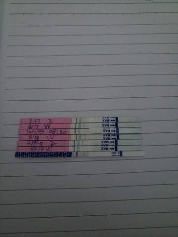 journal_insert_pic_1077429679