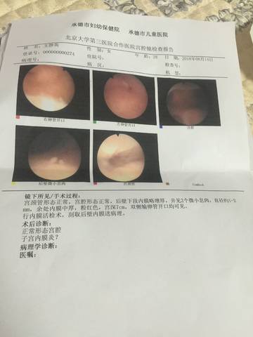 journal_insert_pic_1077791500