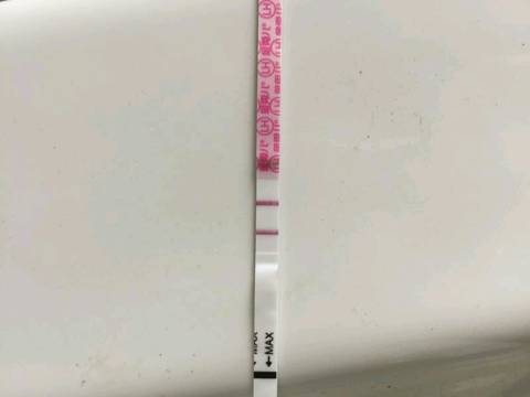 journal_insert_pic_1078222765