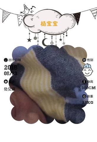 journal_insert_pic_1079339366