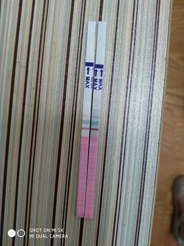 journal_insert_pic_1079368467