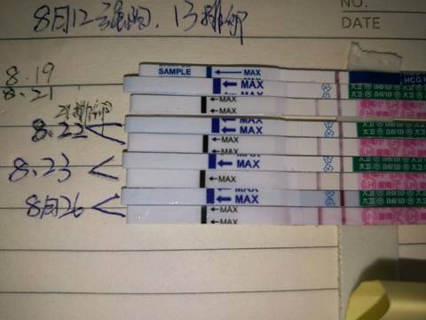 journal_insert_pic_1081280356