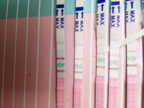 journal_insert_pic_1084422614