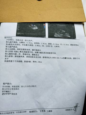 journal_insert_pic_1084415315