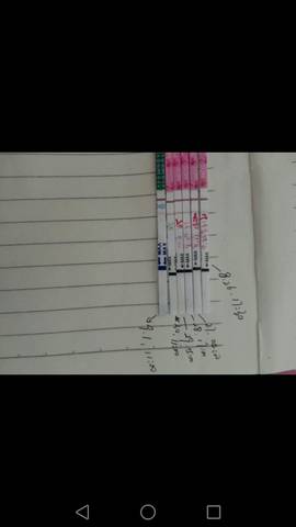 journal_insert_pic_1084956896