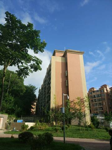 journal_insert_pic_1085346059