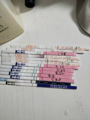 journal_insert_pic_1085305639
