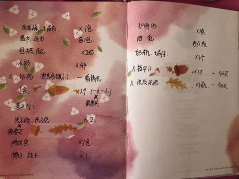 journal_insert_pic_1086298872