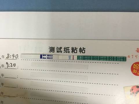 journal_insert_pic_1087304076