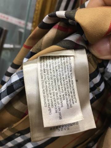 journal_insert_pic_1088412647