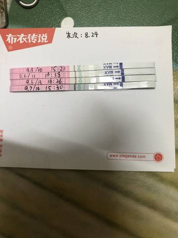 journal_insert_pic_1088884390