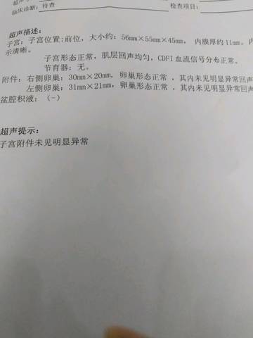 journal_insert_pic_1090300143