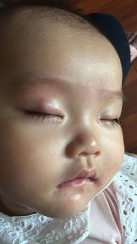 journal_insert_pic_1091084352