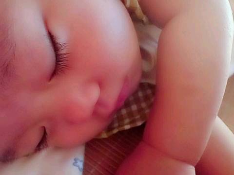 journal_insert_pic_1091876415