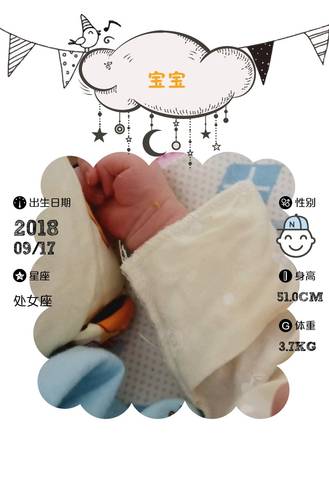 journal_insert_pic_1094400415