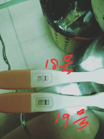 journal_insert_pic_1096013235