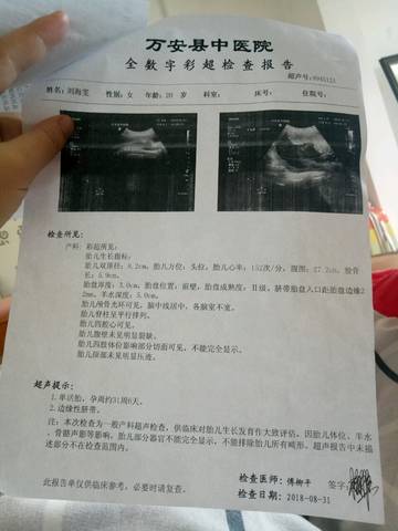 journal_insert_pic_1095977994