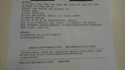 journal_insert_pic_1096182935