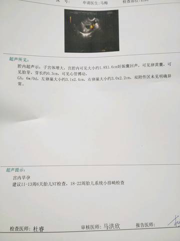 journal_insert_pic_1096416993