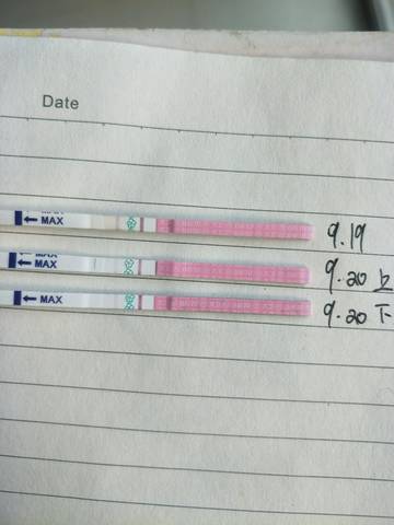 journal_insert_pic_1096496260