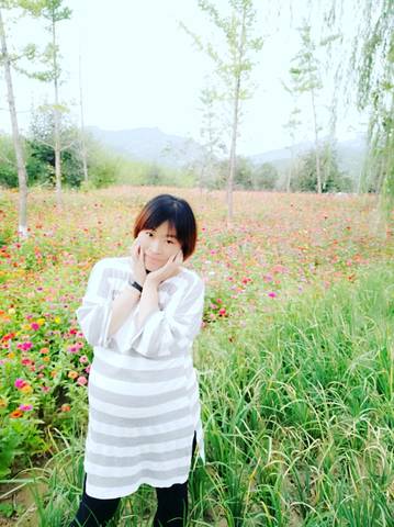 journal_insert_pic_1096137927
