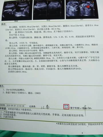 journal_insert_pic_1096531737